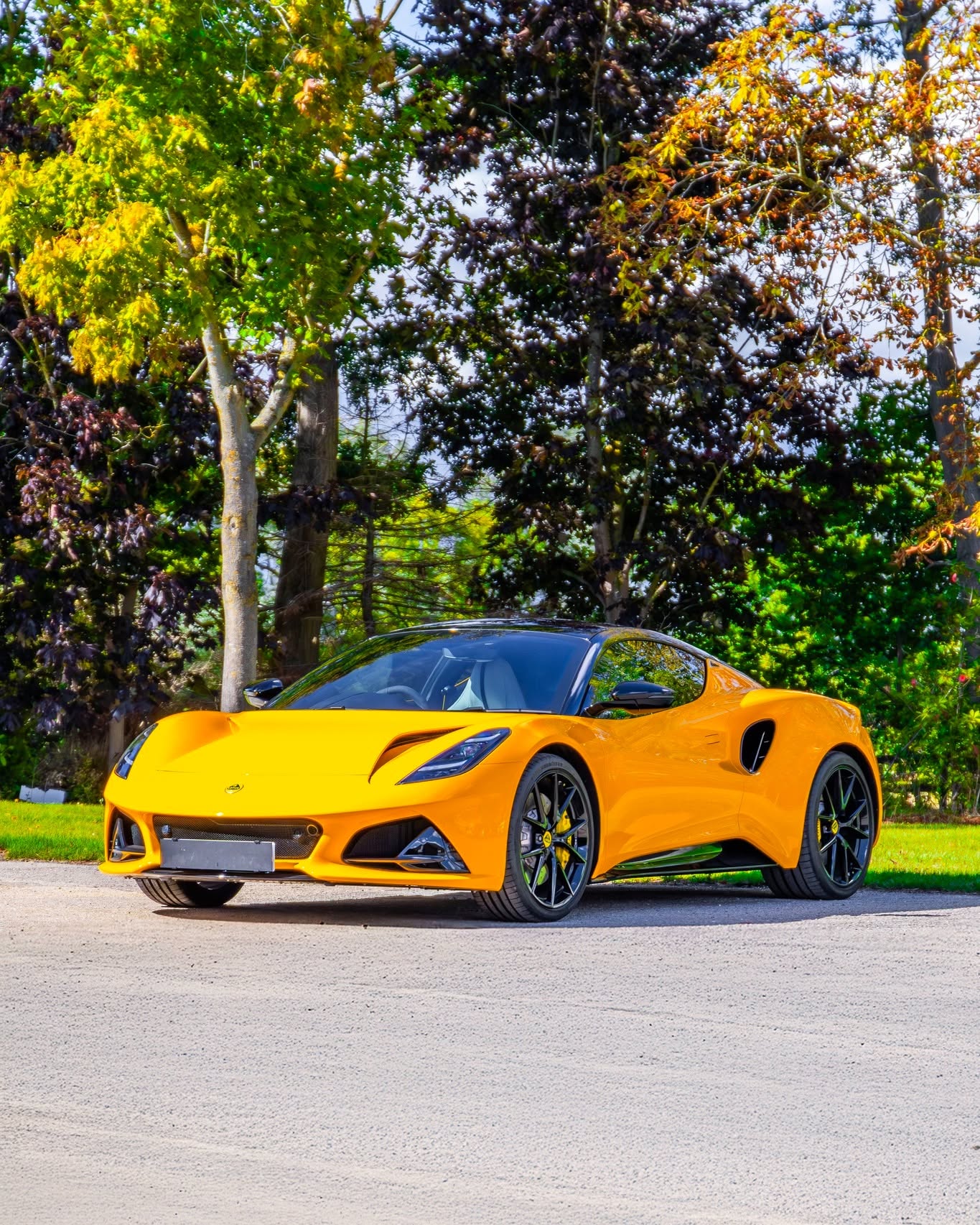 544979206_805020538713171_7922715895863244049_n